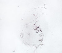 salvatore_difranco
